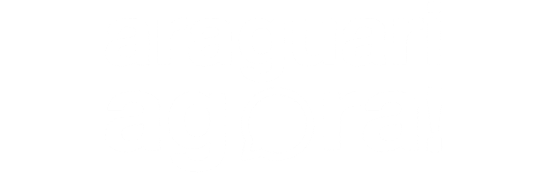 Logo Araguari Agora
